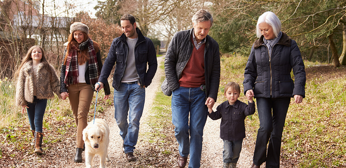 Family walking through a forest trail